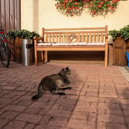 Karolek 홈스테이 *